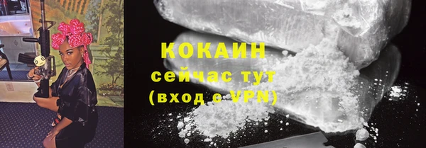 мет Арсеньев