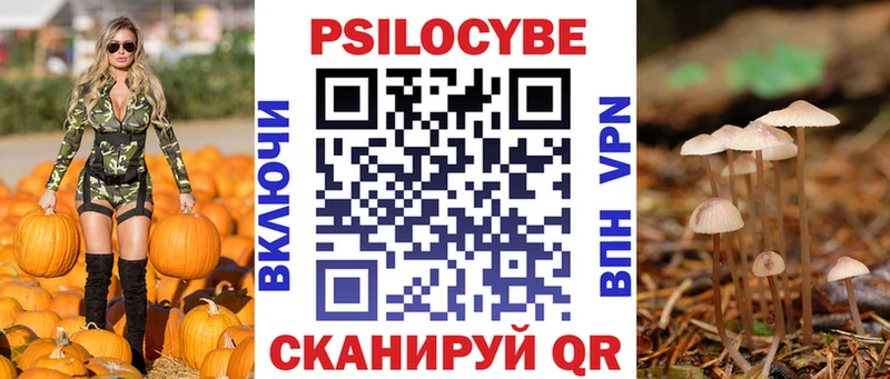 мориарти официальный сайт  хочу наркоту  MEGA зеркало  Борисоглебск  Галлюциногенные грибы Psilocybine cubensis 